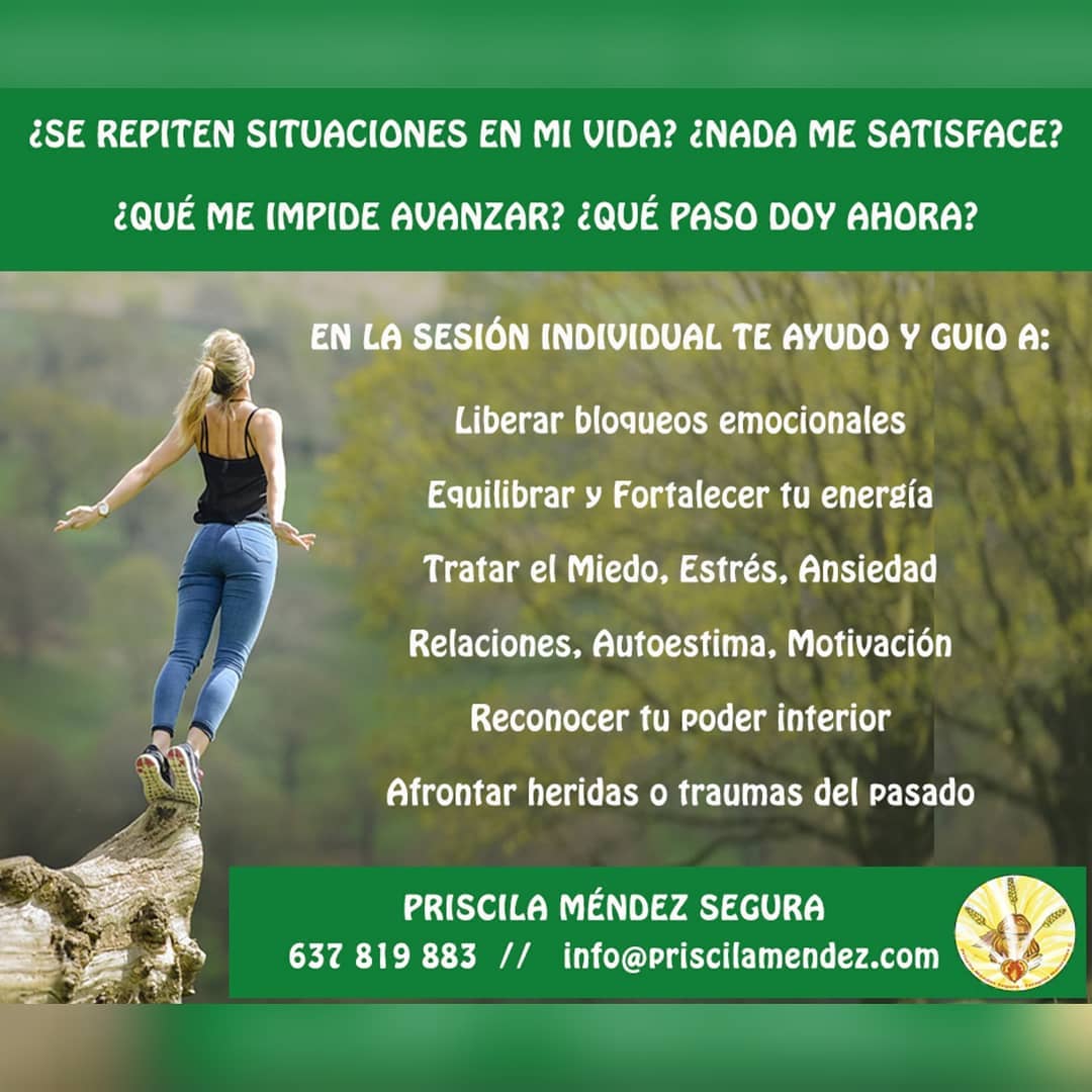 PRISCILA MENDEZ TERAPIAS