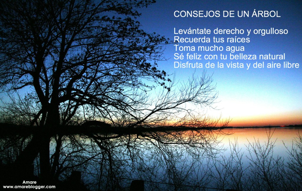 frases para compartir