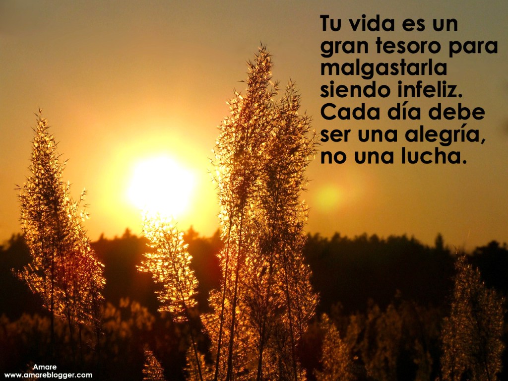 frases para compartir