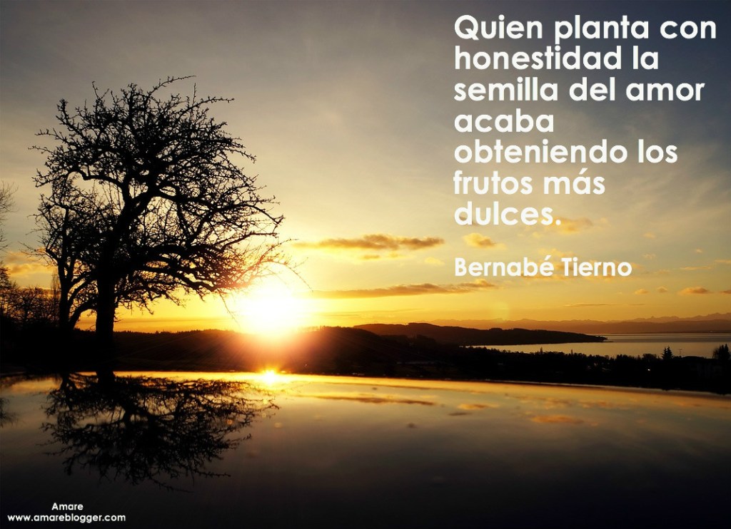 frases de bernabé tierno