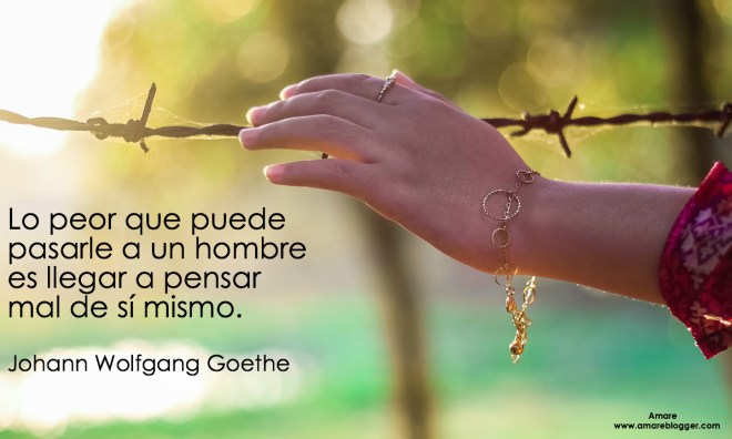 frases de Johann wolfgang Goethe