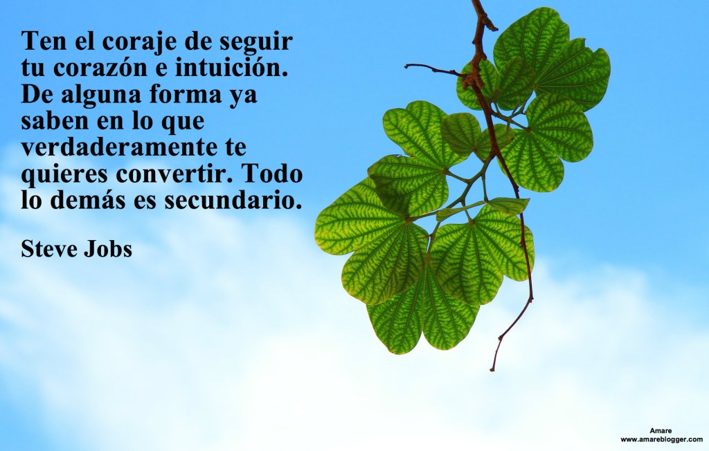 frases de Steve Jobs 